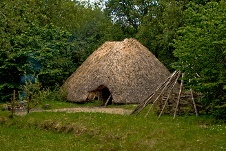 20090713195844_img_8534pan.jpg